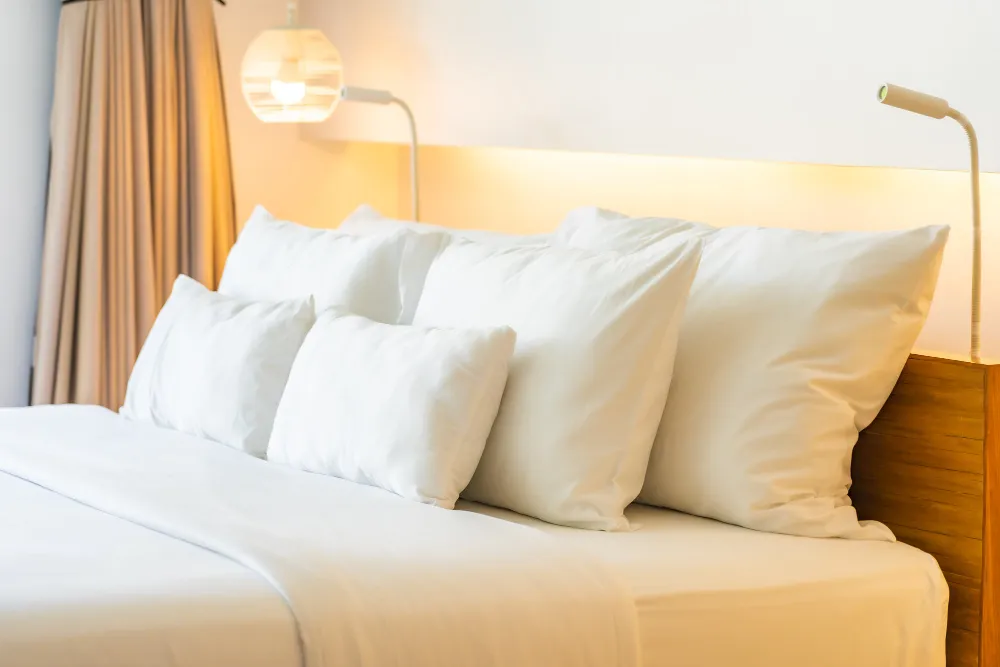 The main claims attached to Tranzzquil pillows